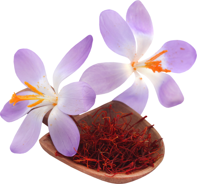 Saffron with Crocus Flower