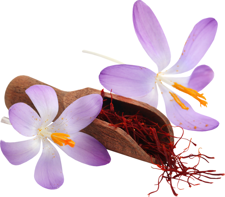 Saffron with Crocus Flower