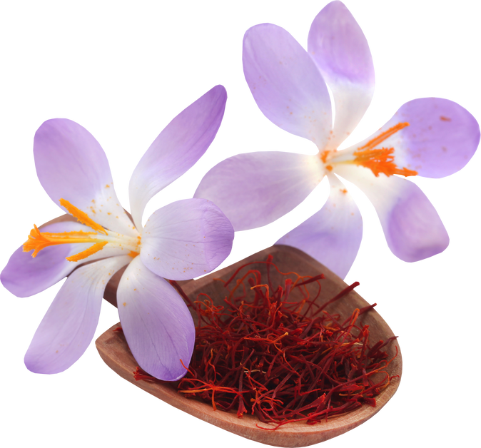 Saffron with Crocus Flower